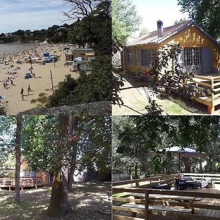 La Palombiere, Plage A 150M Meschers-sur-Gironde Buitenkant foto